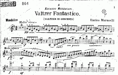 zag Aanpassingsvermogen landelijk Enrico Marucelli – Valtzer Fantastico and other Compositions for Mandolin &  Guitar or Mandolin Quartet – Home