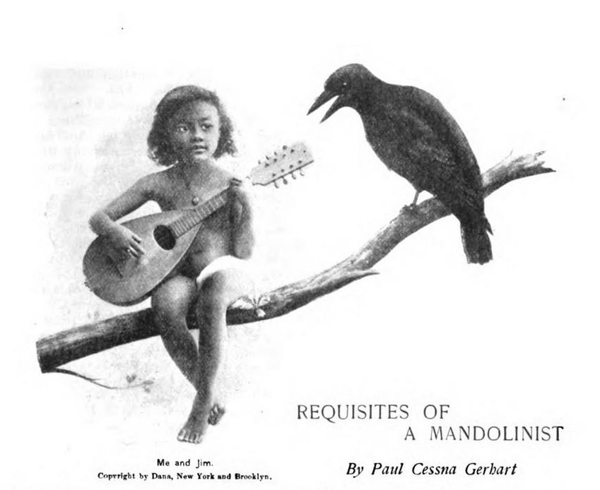 Requisites of a Mandolinst