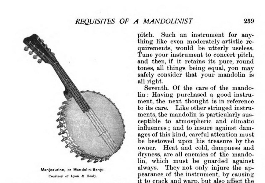 Manjeaurine, or Mandolin-Banjo