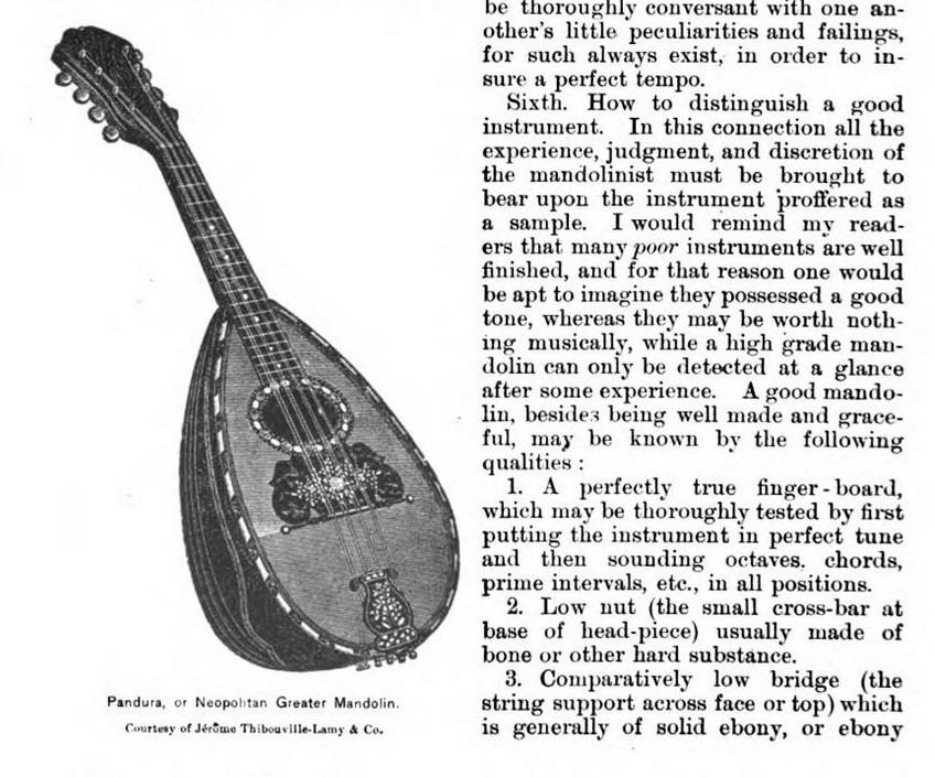 Pandura, or Neapolitan Greater Mandolin