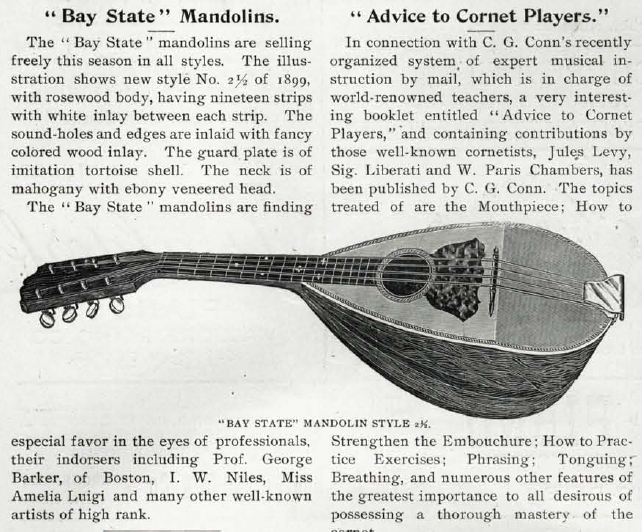bay-state-mandolin-01.jpg