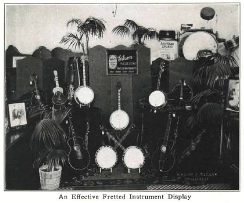 fretted-instrument-display.jpg